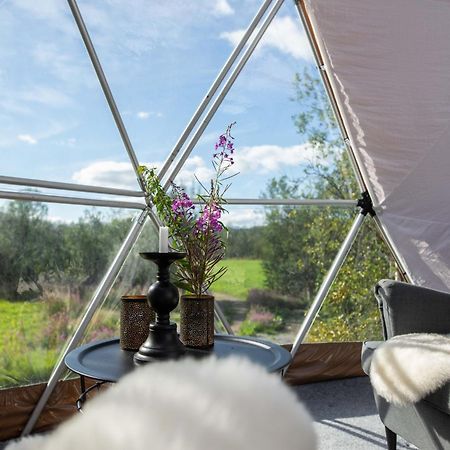 Aera - Glass Cabins Tromso Bagian luar foto