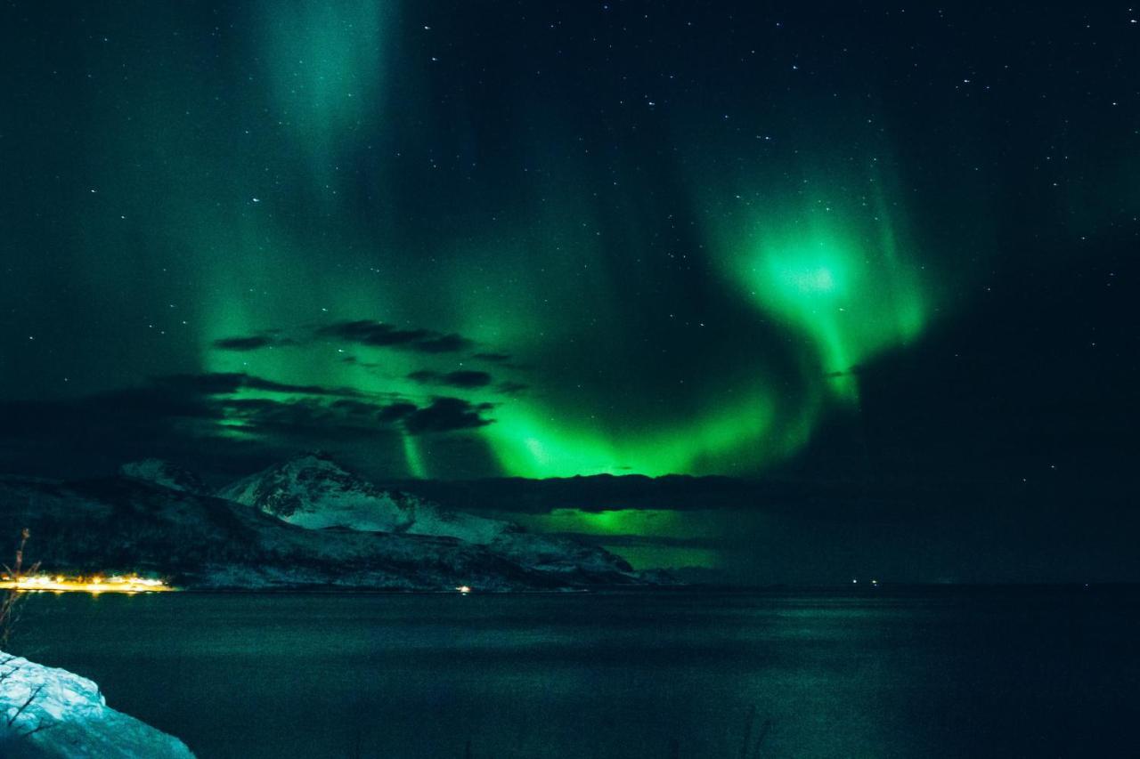 Aera - Glass Cabins Tromso Bagian luar foto