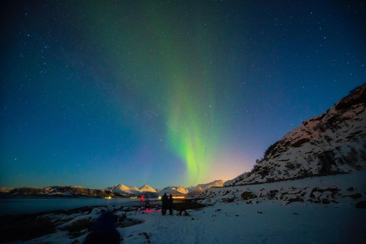 Aera - Glass Cabins Tromso Bagian luar foto